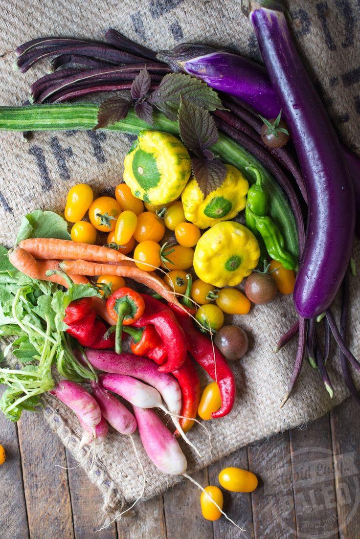 Sun-Kissed Bounty: Orchard & Field Treasures